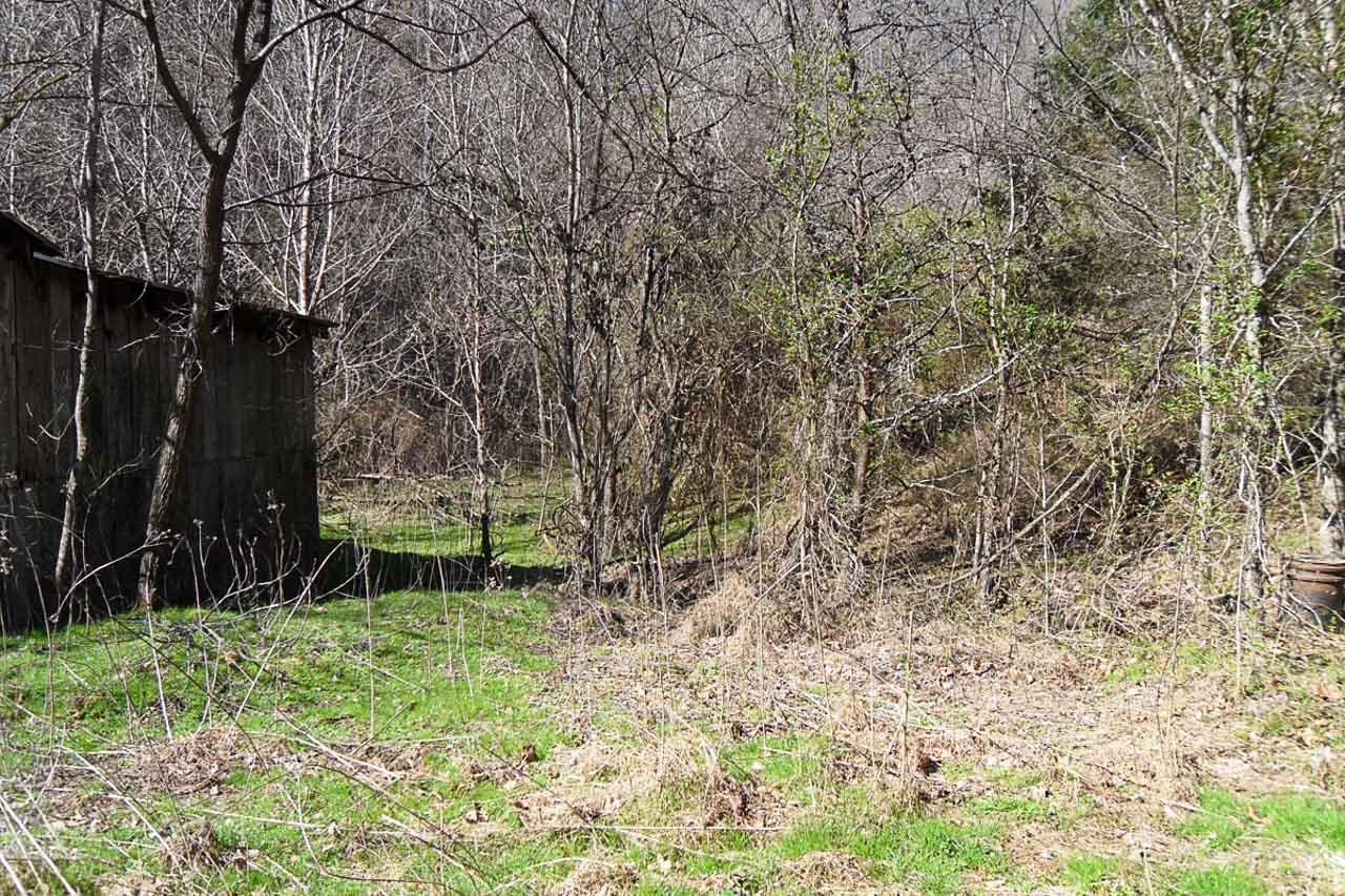 P34 Reed Schoolhouse Road Sevierville, TN 37876 - Photo 14 of 19 14