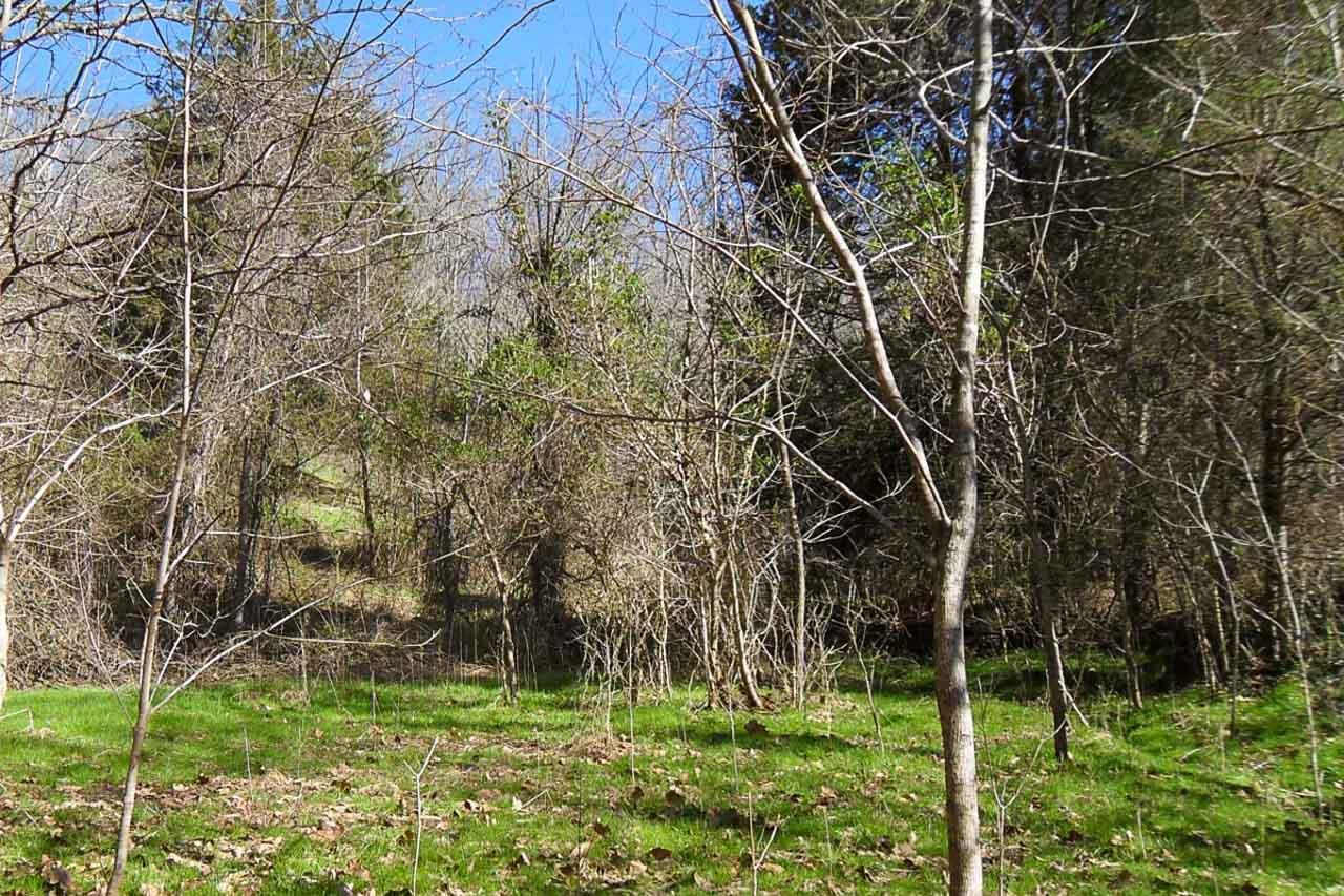 P34 Reed Schoolhouse Road Sevierville, TN 37876 - Photo 15 of 19 15