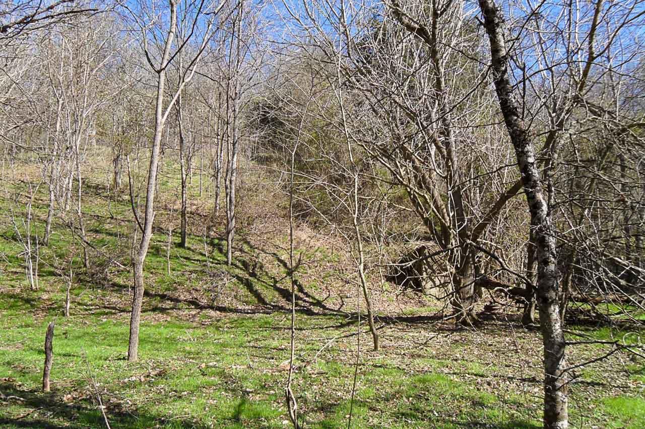 P34 Reed Schoolhouse Road Sevierville, TN 37876 - Photo 17 of 19 17