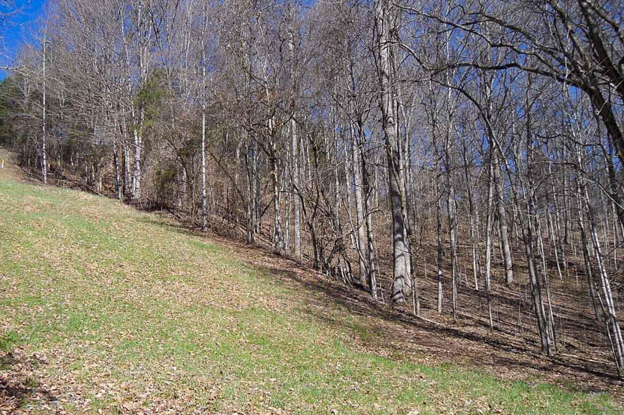 P34 Reed Schoolhouse Road Sevierville, TN 37876 - Photo 6 of 19 06