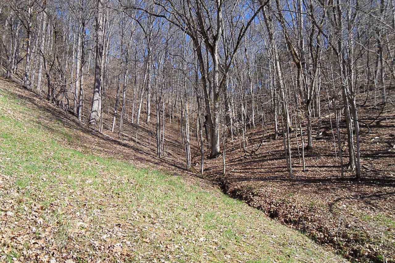 P34 Reed Schoolhouse Road Sevierville, TN 37876 - Photo 7 of 19 07