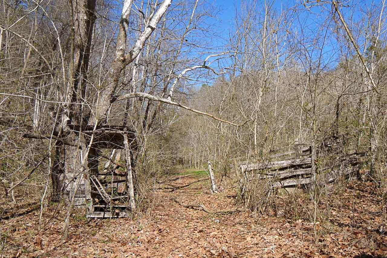 P34 Reed Schoolhouse Road Sevierville, TN 37876 - Photo 10 of 19 10