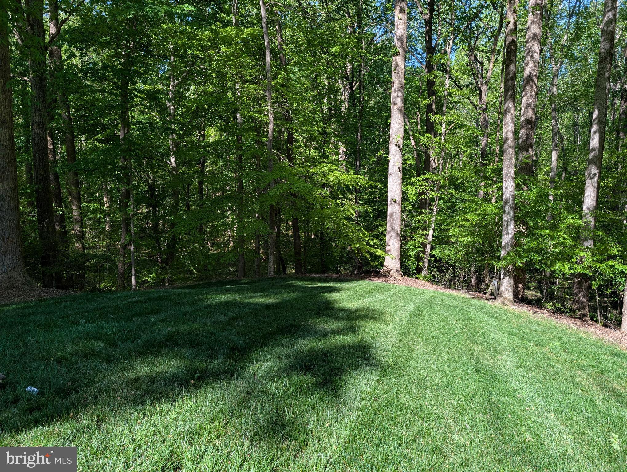 216 Walnut Creek Road Huntingtown, MD 20639 - Photo 14 of 22 beautiful yard