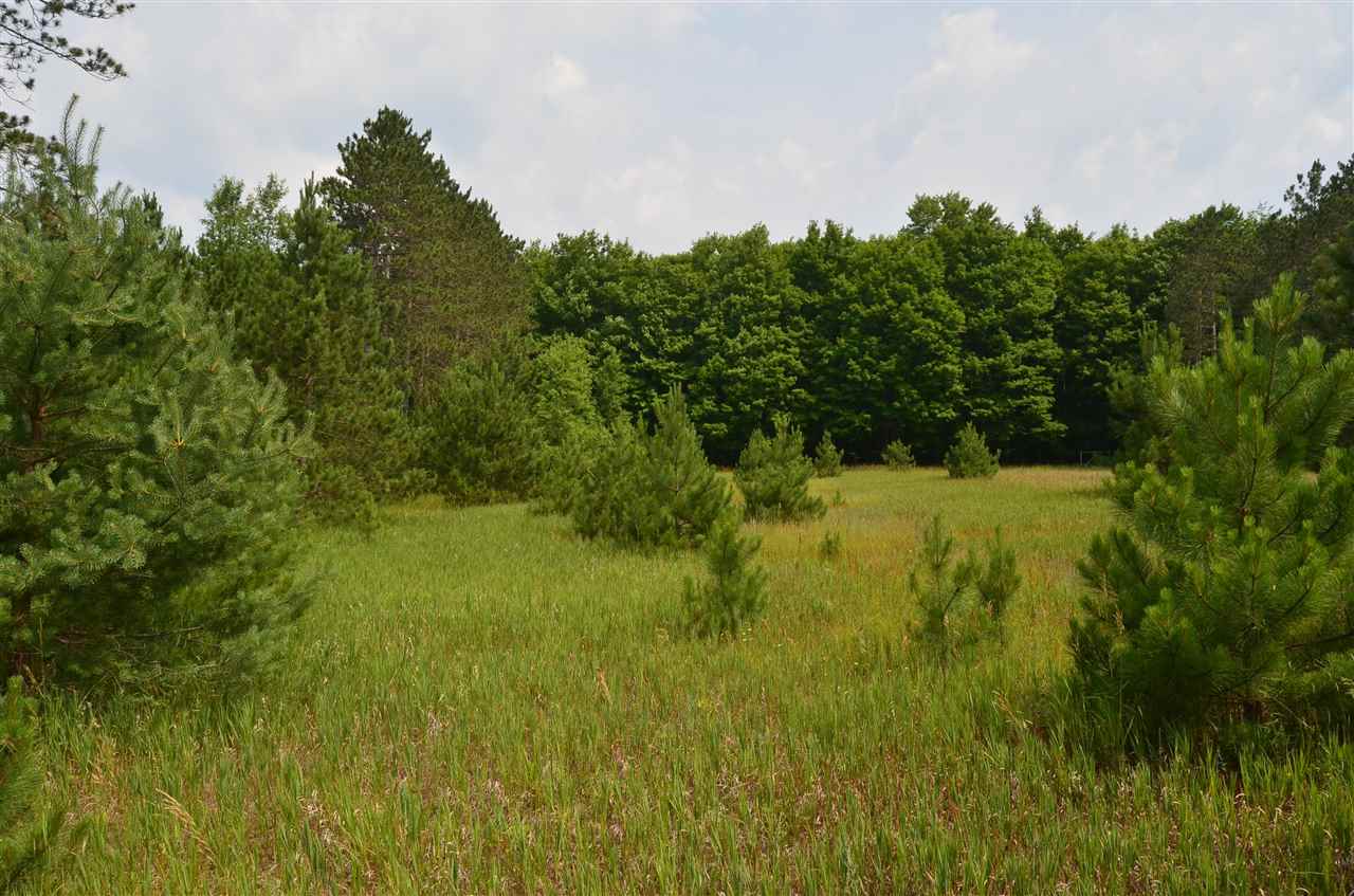 3700 West County Line Road Buckley, MI 49620 - Photo 41 of 47 1890425-40.JPG