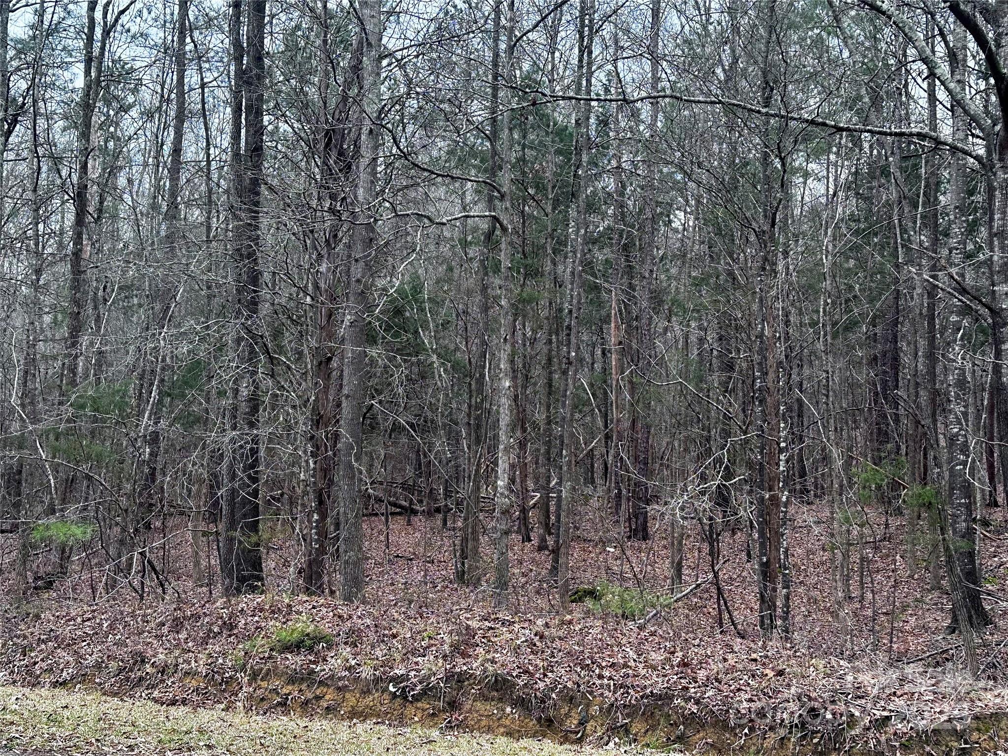 0 Starcliff Circle Lancaster, SC 29720 - Photo 2 of 7 a view of a yard