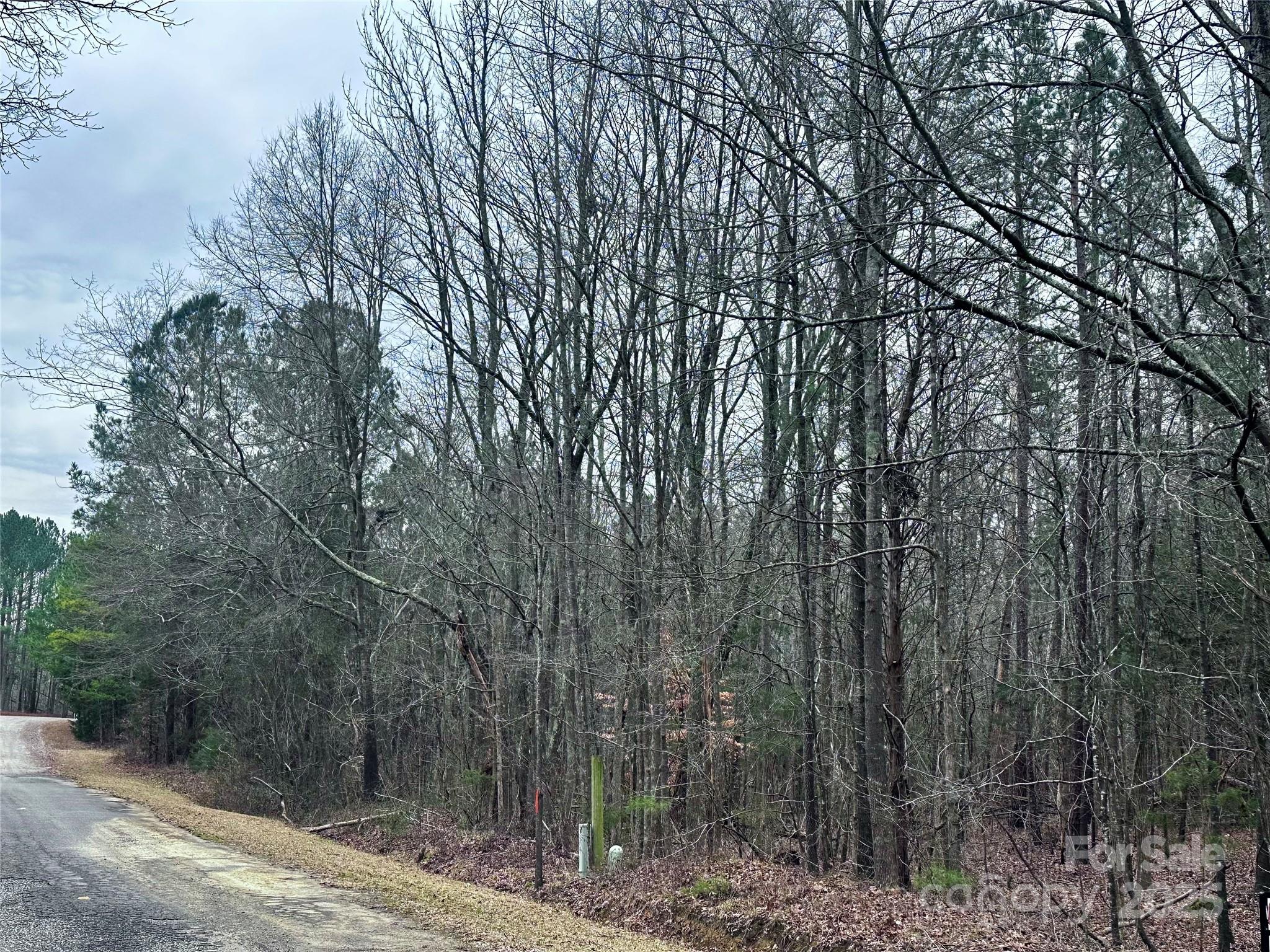 0 Starcliff Circle Lancaster, SC 29720 - Photo 3 of 7 a view of a forest filled with trees