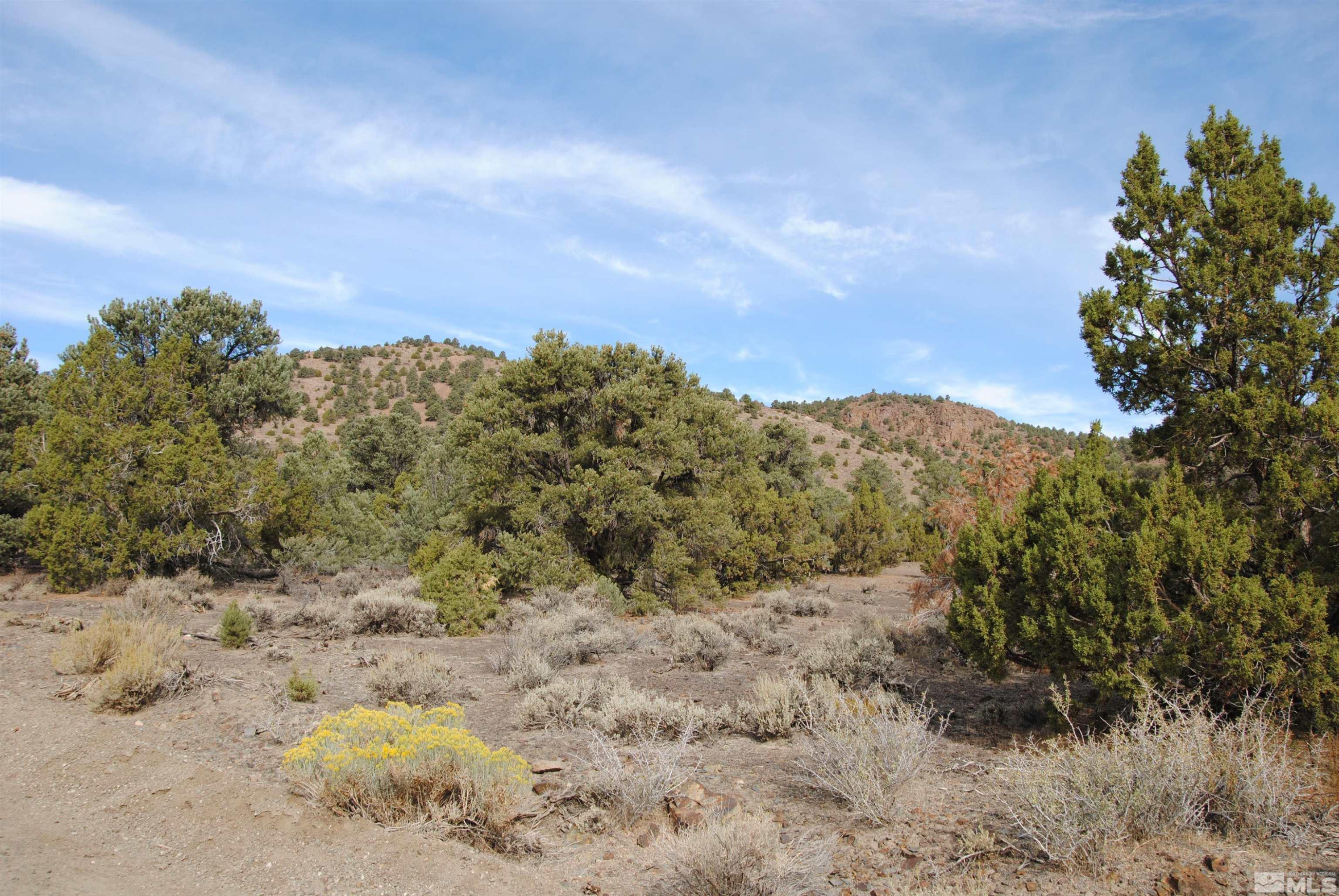 2090 Scorpion Road Reno, NV 89521 - Photo 1 of 6 a view of a dry yard