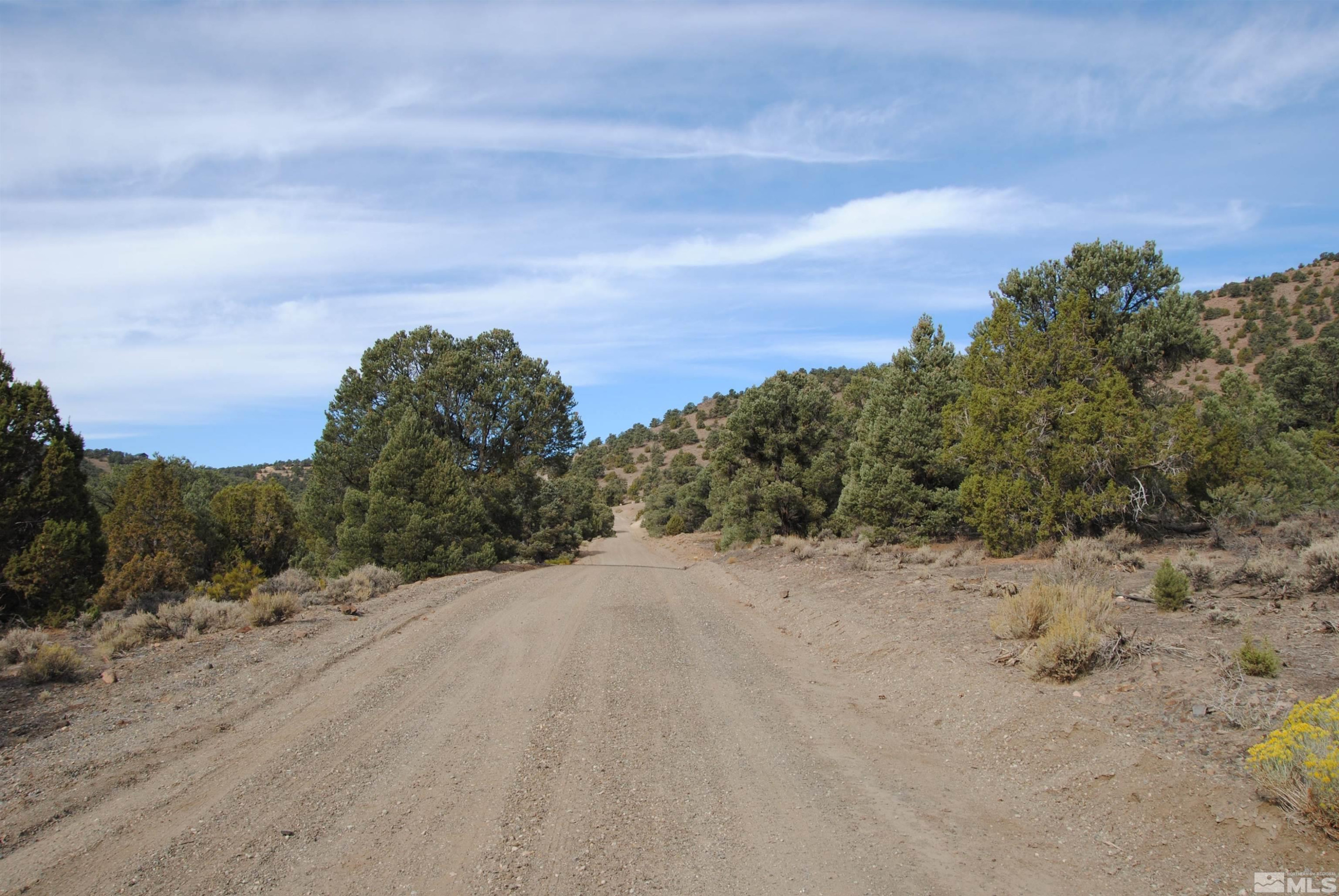2090 Scorpion Road Reno, NV 89521 - Photo 2 of 6 a view of a dry yard with mountains in the background