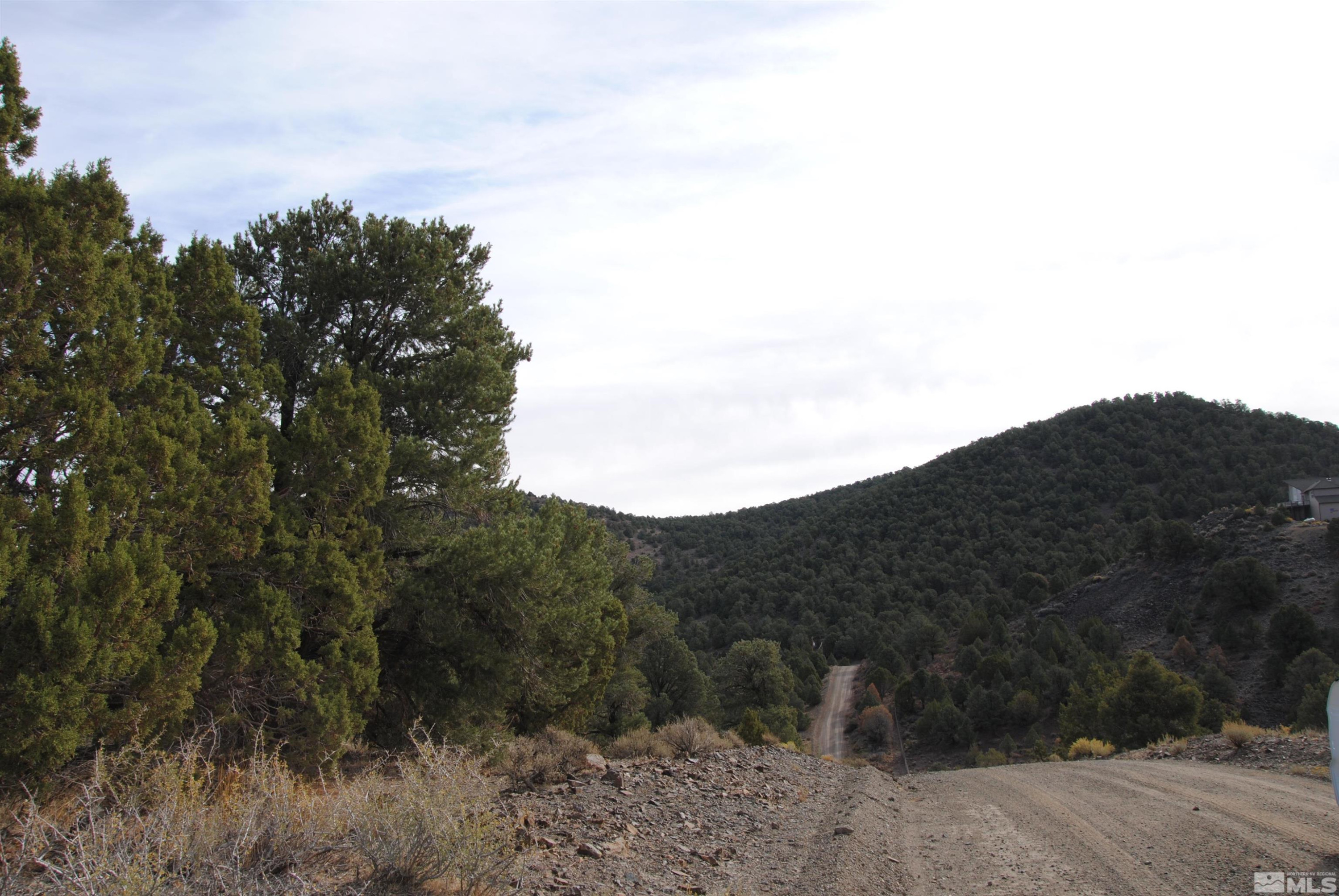 2090 Scorpion Road Reno, NV 89521 - Photo 3 of 6 a view of a mountain