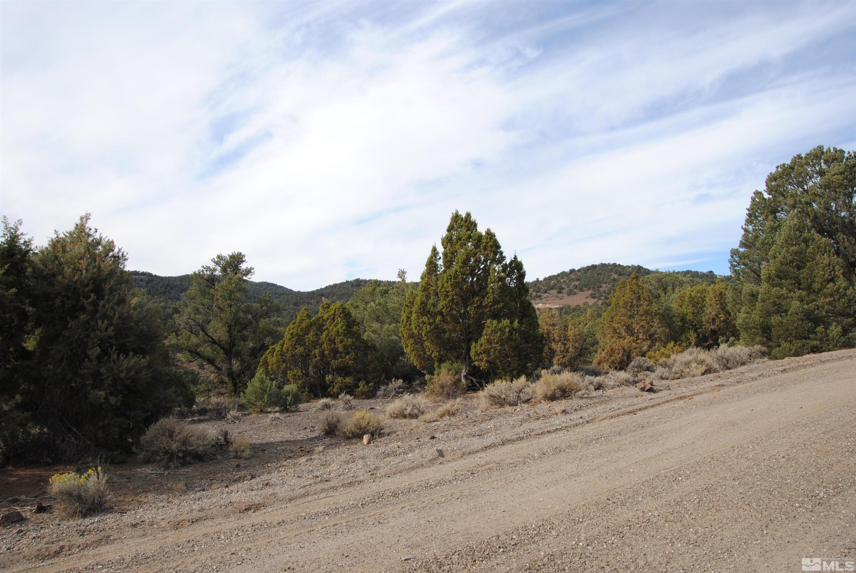 2090 Scorpion Road Reno, NV 89521 - Photo 4 of 6 a view of a dry field with trees in the background