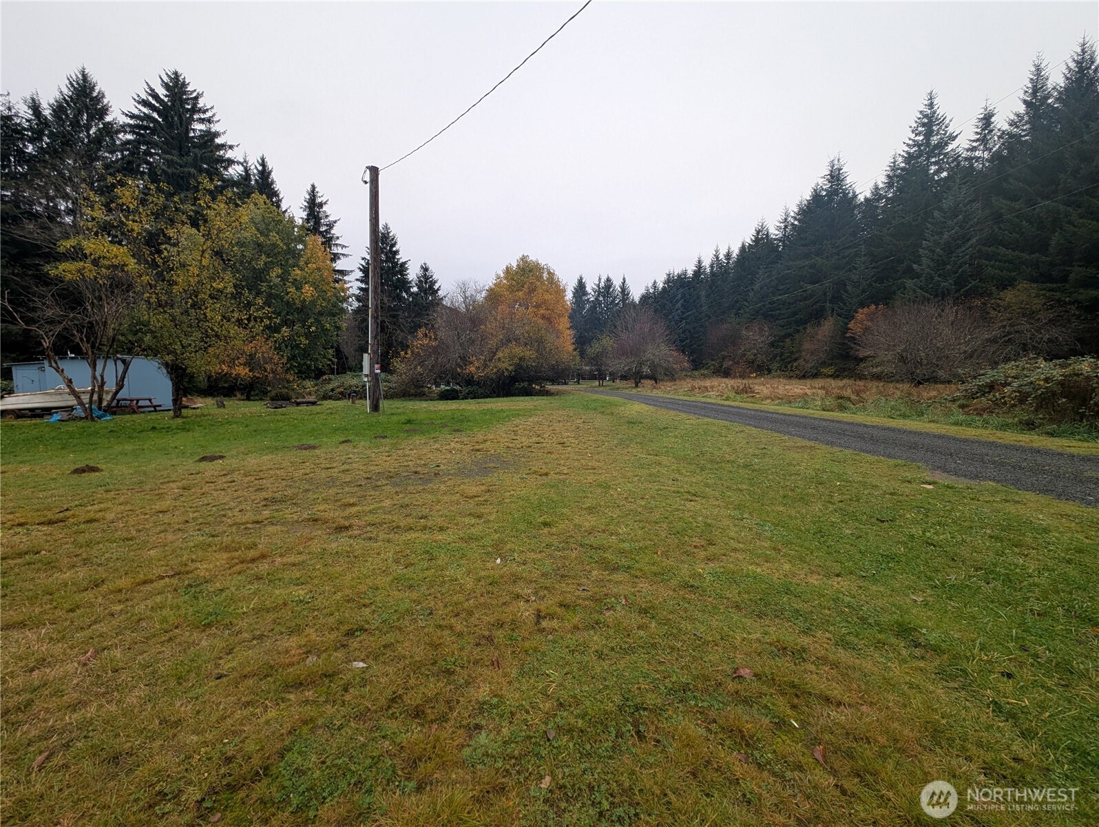 81 Barber Road Clallam Bay, WA 98326 - Photo 9 of 30 a view of outdoor space and yard