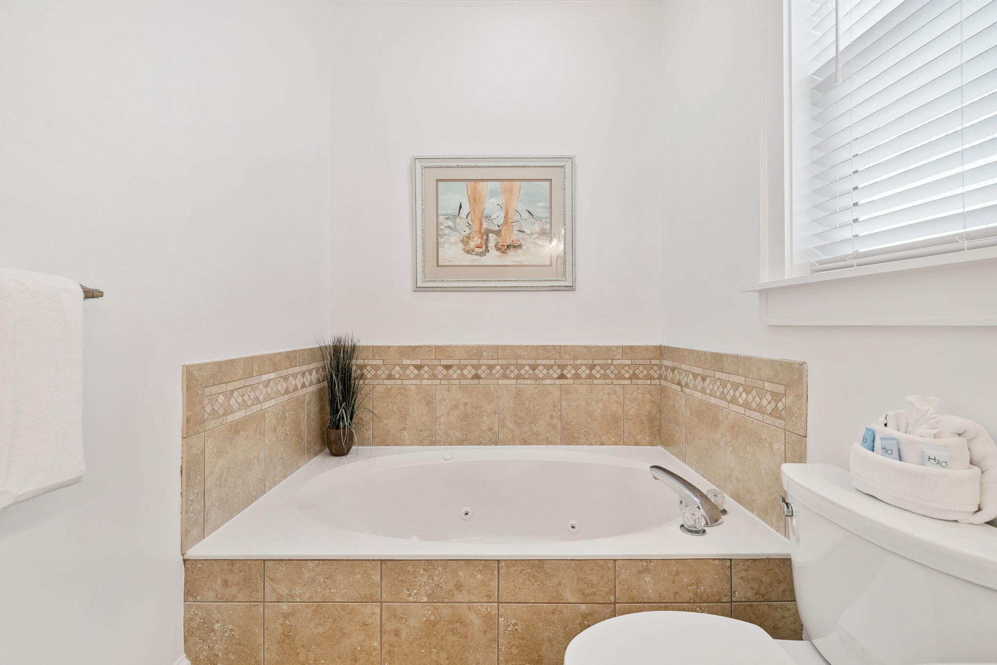 8 Barefoot Lane Seacrest, FL 32461 - Photo 30 of 62 Primary Ensuite