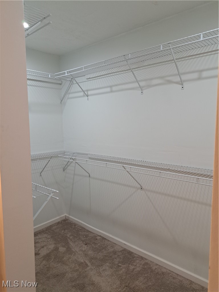 3813 State Road Vermilion, OH 44089 - Photo 23 of 28 Spacious closet featuring carpet flooring