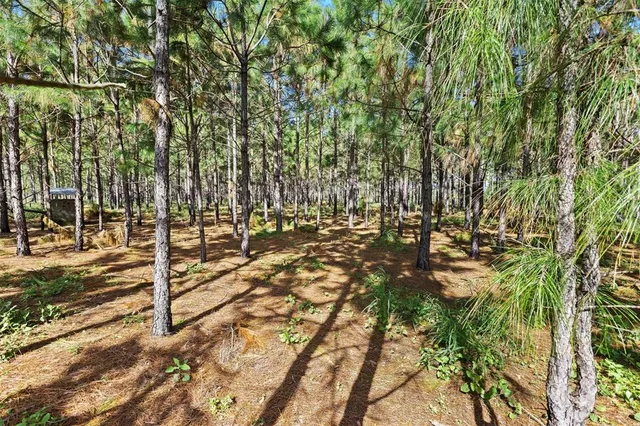 $399,950 | 18105 Bethlehem Road, Lithia, FL 33547