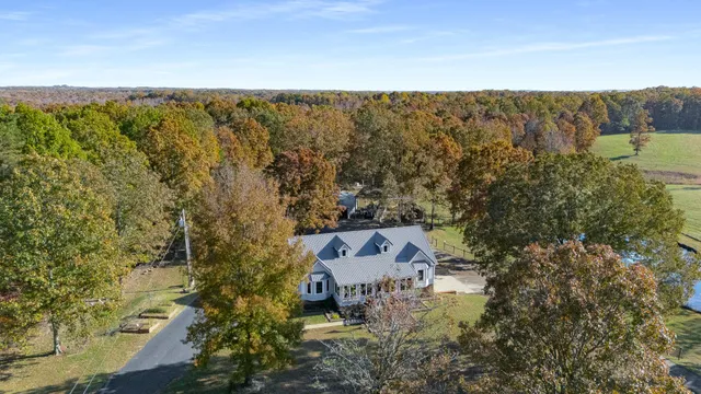 a view of a city with lush green forest