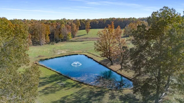 a view of a back yard of the house