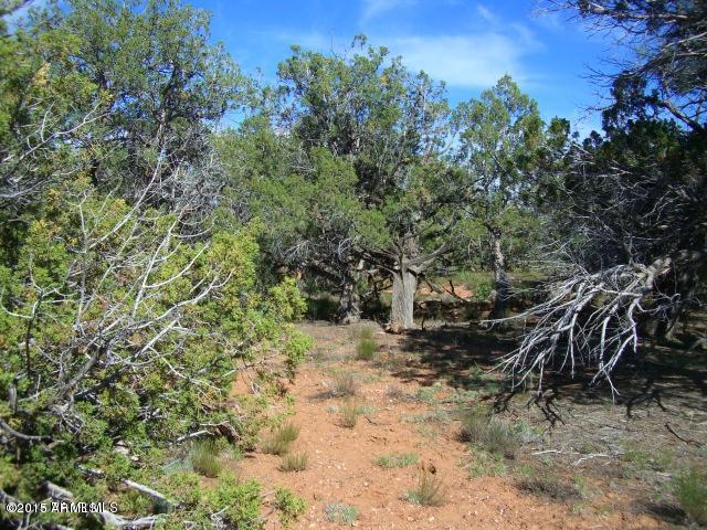 Lot 36 Raney Road, Unit 36B Ash Fork, AZ 86320 - Photo 3 of 9 36b 4
