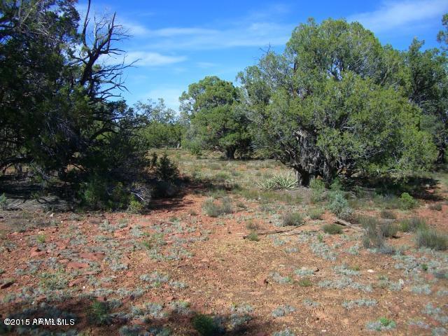 Lot 36 Raney Road, Unit 36B Ash Fork, AZ 86320 - Photo 4 of 9 36b 5