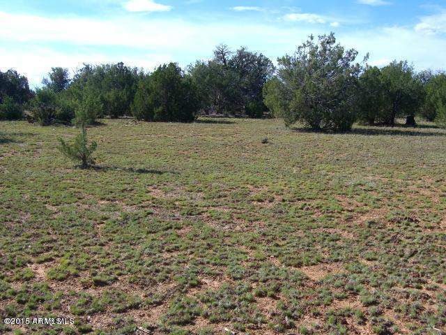 Lot 36 Raney Road, Unit 36B Ash Fork, AZ 86320 - Photo 8 of 9 36b 9