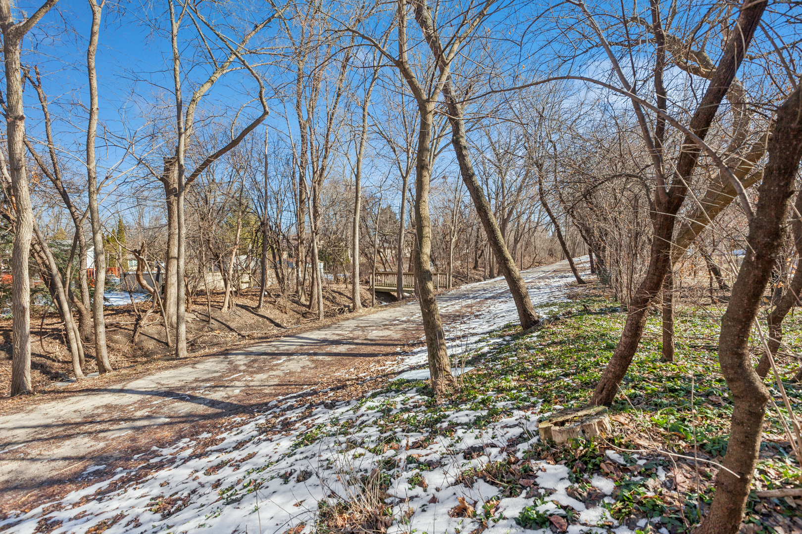 N655 Courtney Lane Winfield, IL 60190 - Photo 27 of 31