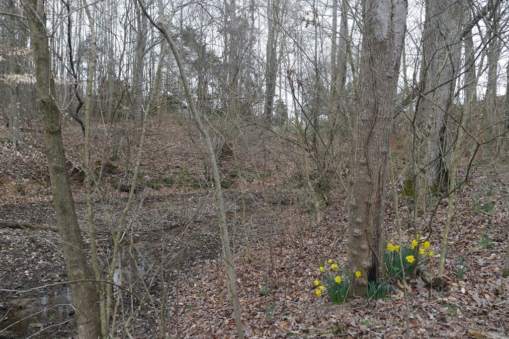 Tbd Old Mill Road, Unit 23 Glade Spring, VA 24340 - Photo 29 of 32 Gallery Image 29