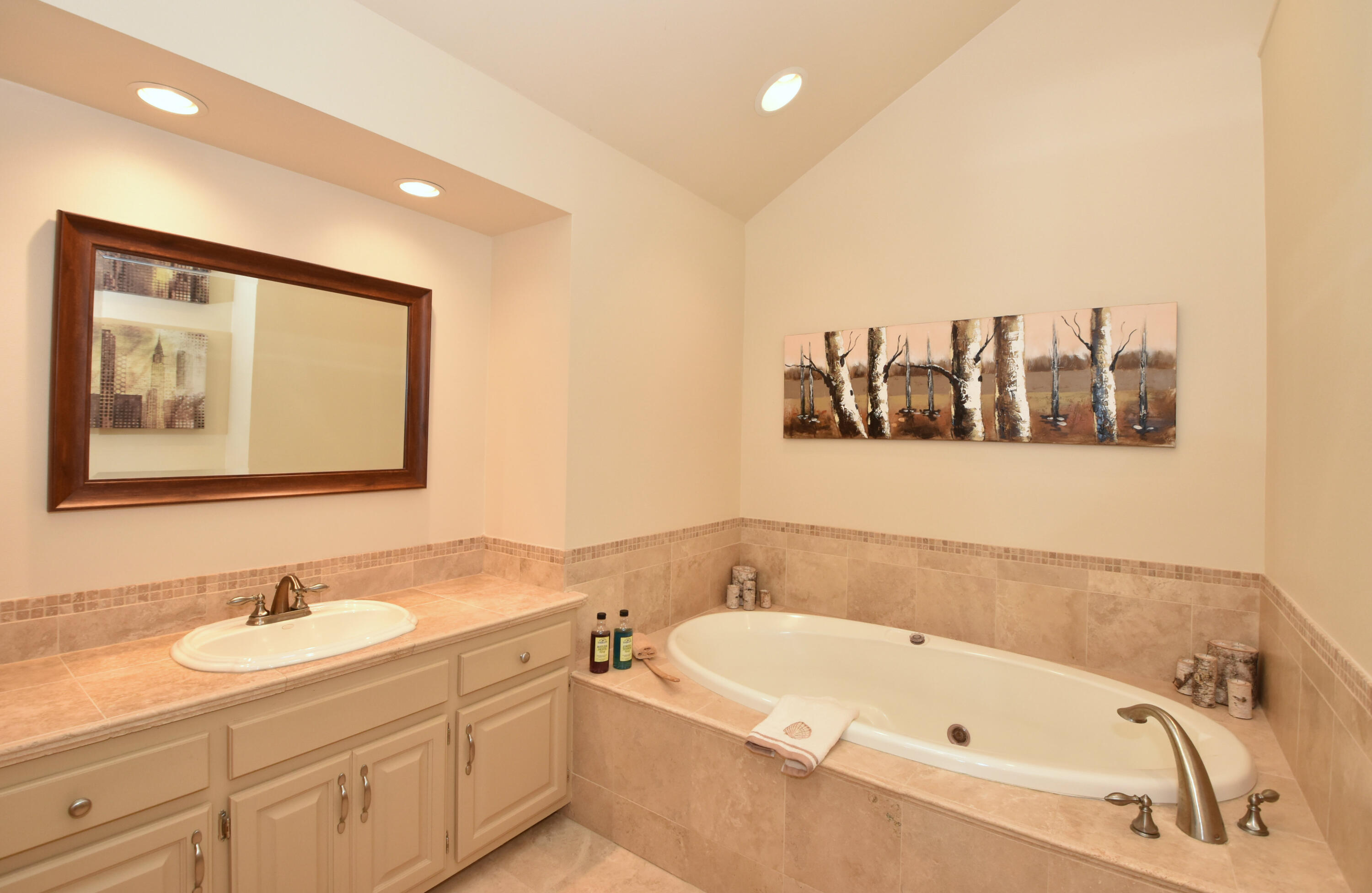 762 North Forest Ridge Court Summit, WI 53066 - Photo 11 of 70 Large soaking tub