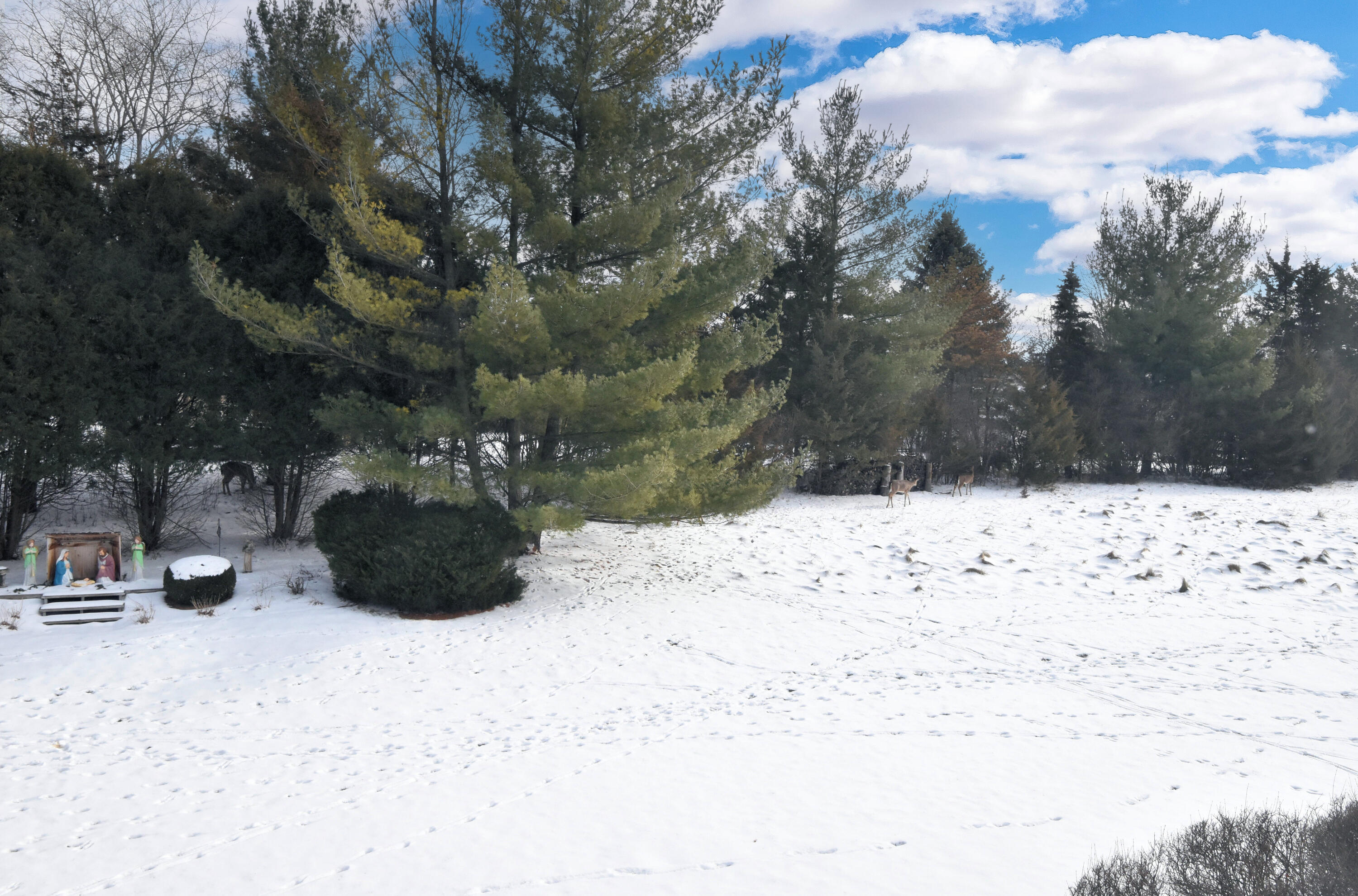 762 North Forest Ridge Court Summit, WI 53066 - Photo 50 of 70 View of Backyard/Deer
