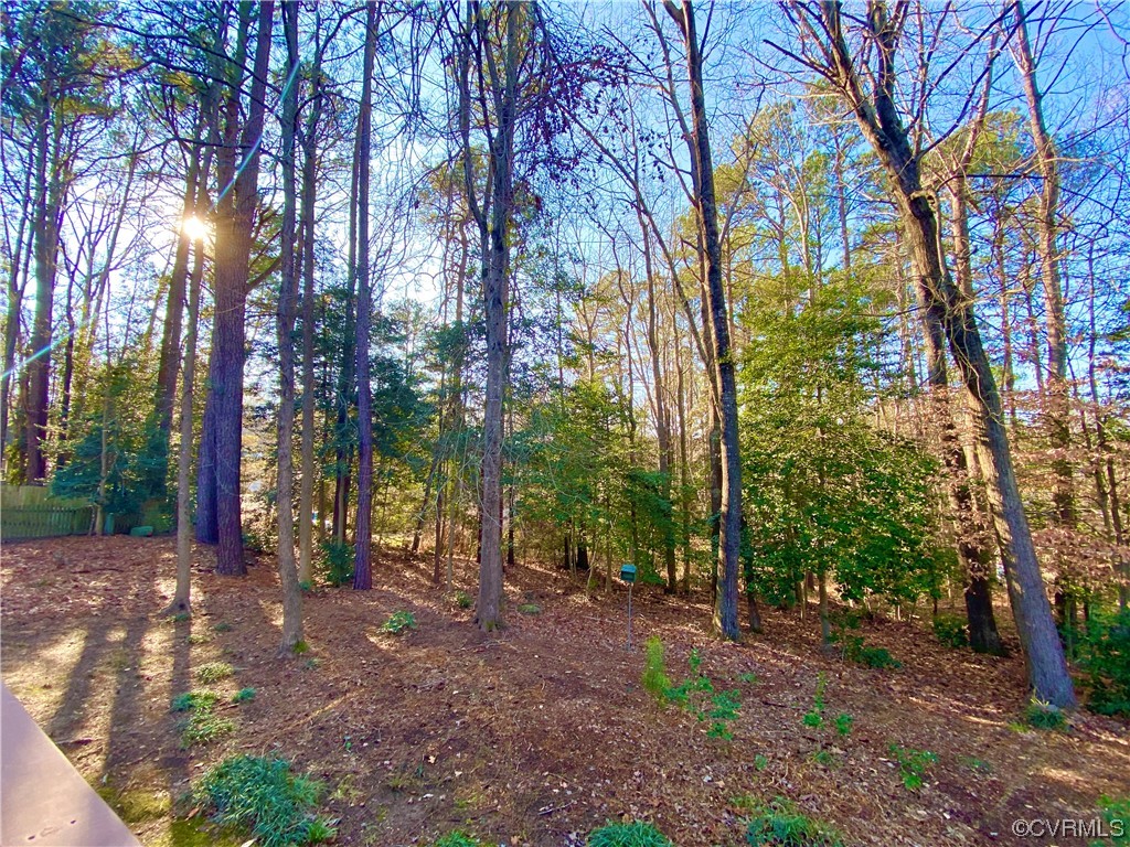 2618 Iverson Road Midlothian, VA 23112 - Photo 44 of 50 a view of a forest with trees