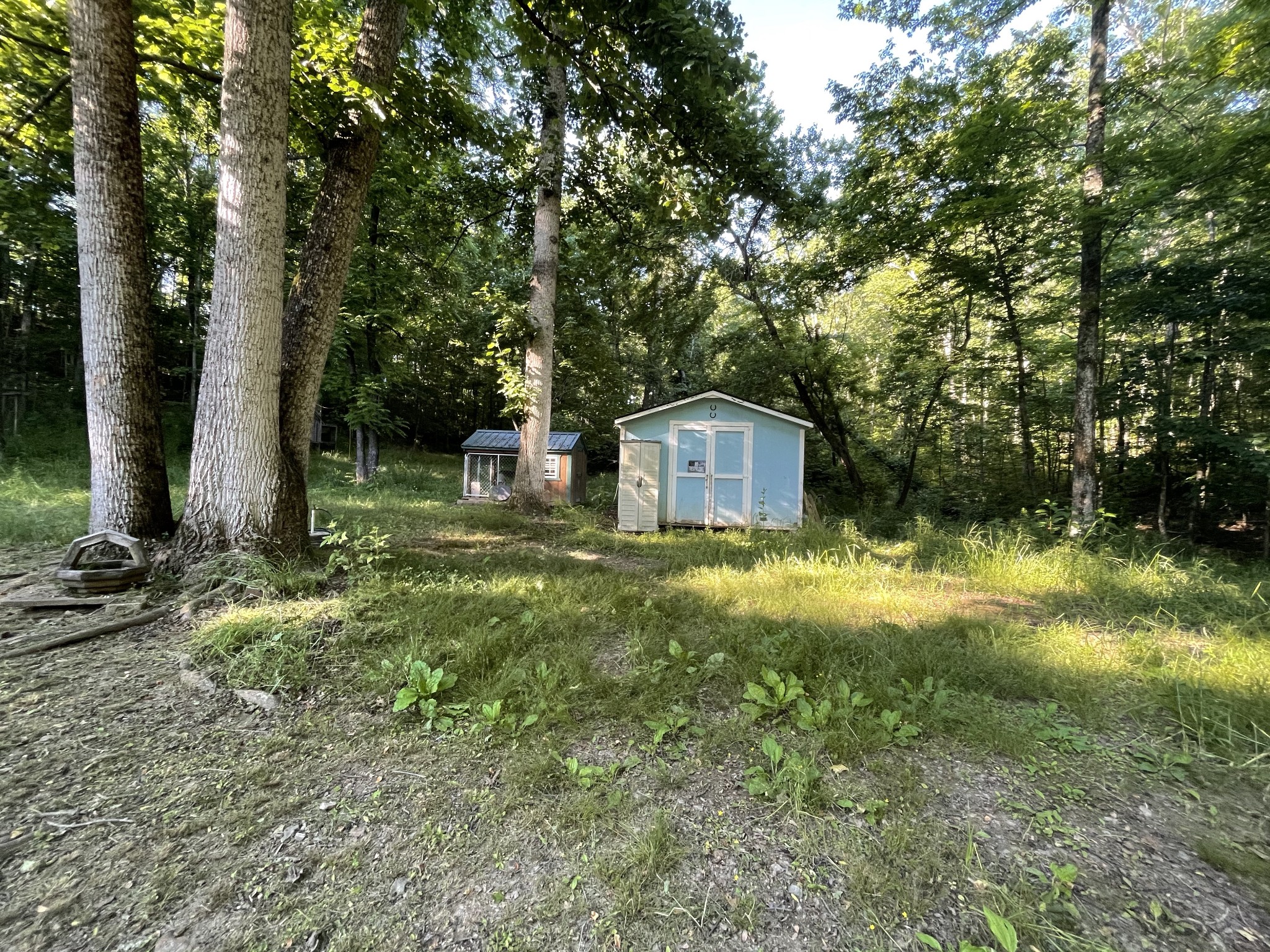 935 Bucket Branch Road Waverly, TN 37185 - Photo 14 of 29 Gallery Image 14