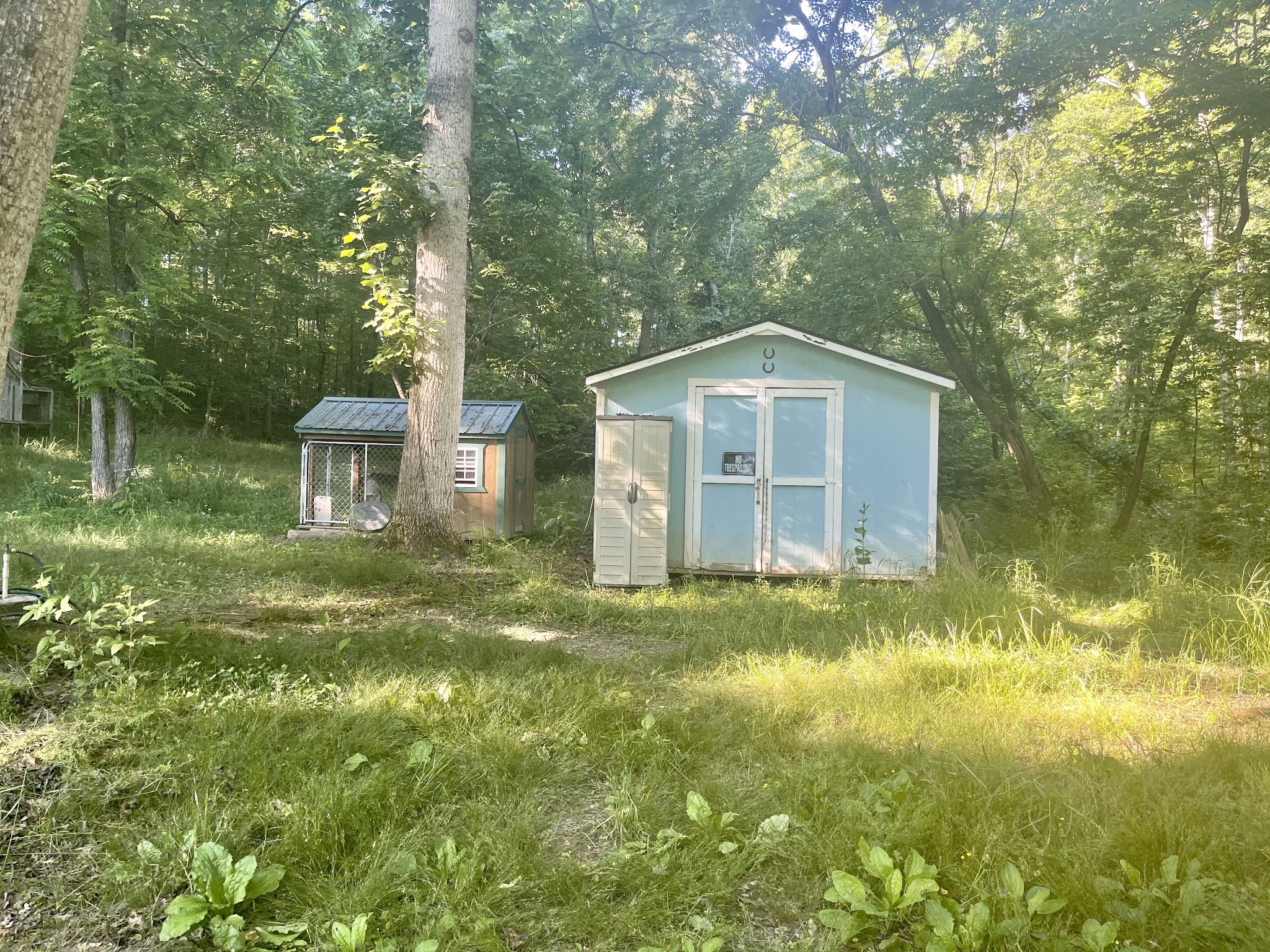 935 Bucket Branch Road Waverly, TN 37185 - Photo 15 of 29 Gallery Image 15