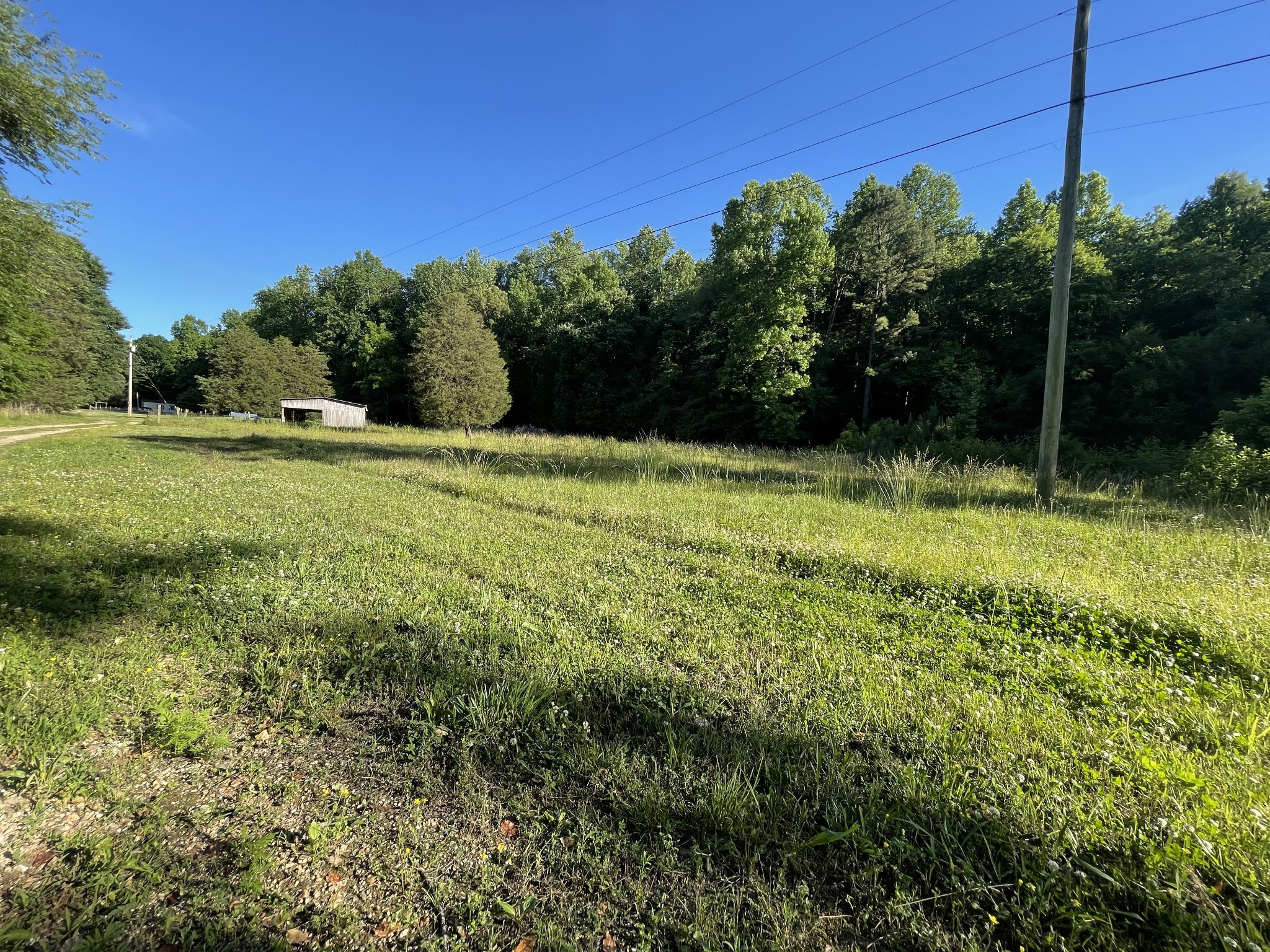 935 Bucket Branch Road Waverly, TN 37185 - Photo 5 of 29 Gallery Image 5
