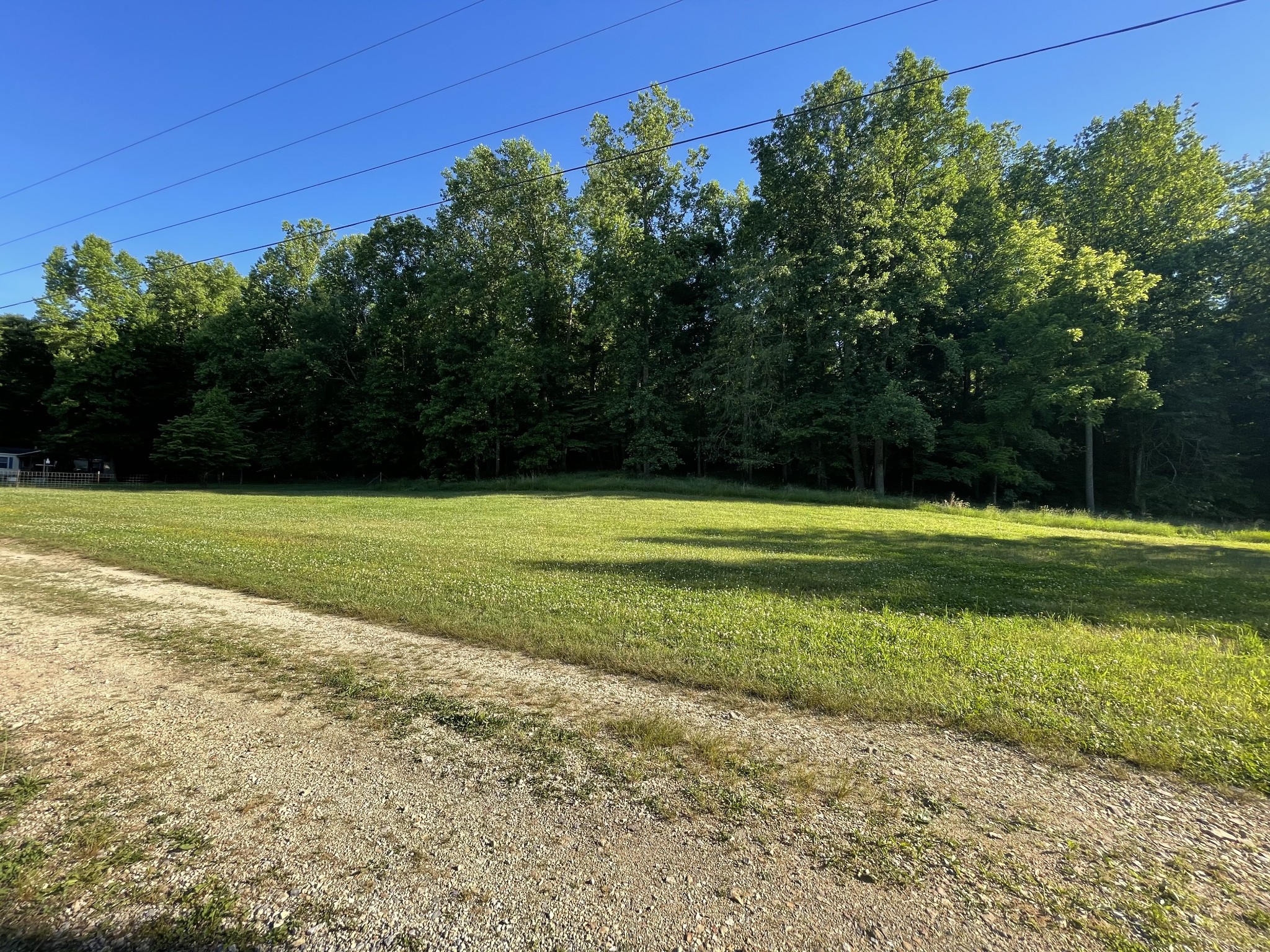 935 Bucket Branch Road Waverly, TN 37185 - Photo 8 of 29 Gallery Image 8