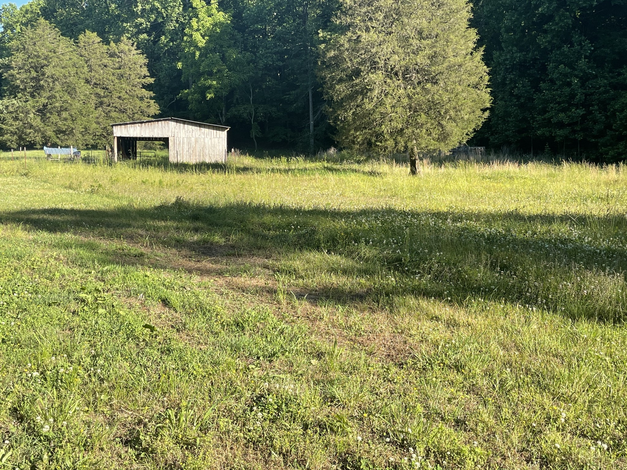 935 Bucket Branch Road Waverly, TN 37185 - Photo 9 of 29 Gallery Image 9