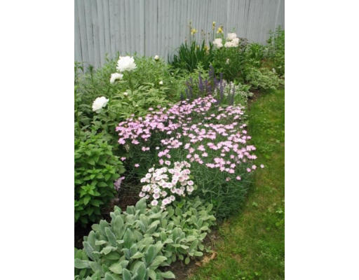 4 Beech Road Westford, MA 01886 - Photo 23 of 25 Gallery Image 23