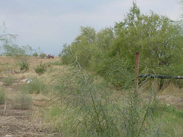 27700 North Aladdin Road Florence, AZ 85132 - Photo 6 of 6 Additional Photo