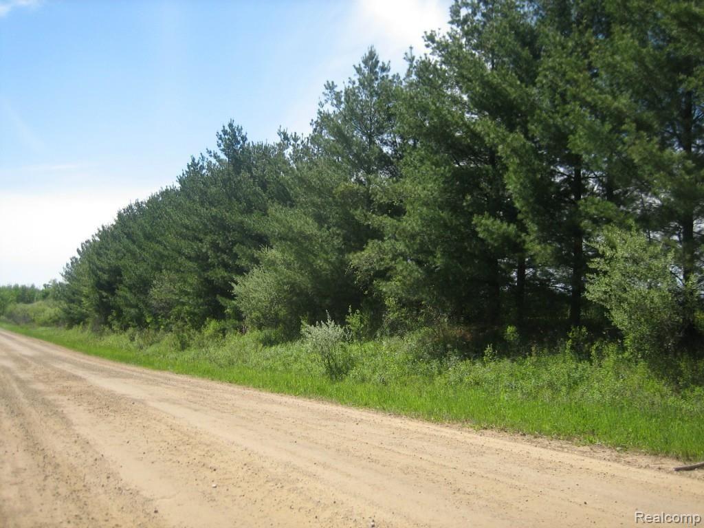 0 Lothrop Road Imlay City, MI 48444 - Photo 4 of 9