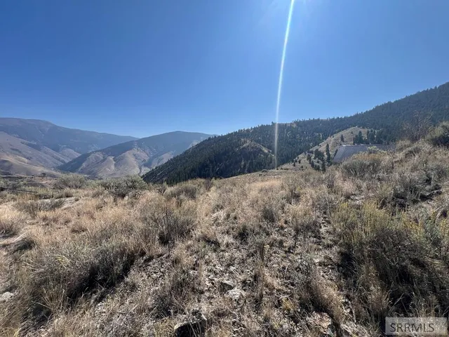 $45,000 | Tbd Skyline Drive, Salmon, ID 83467