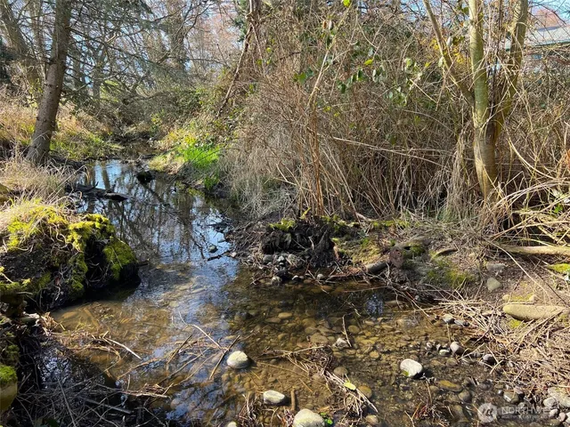 a view of a water yard