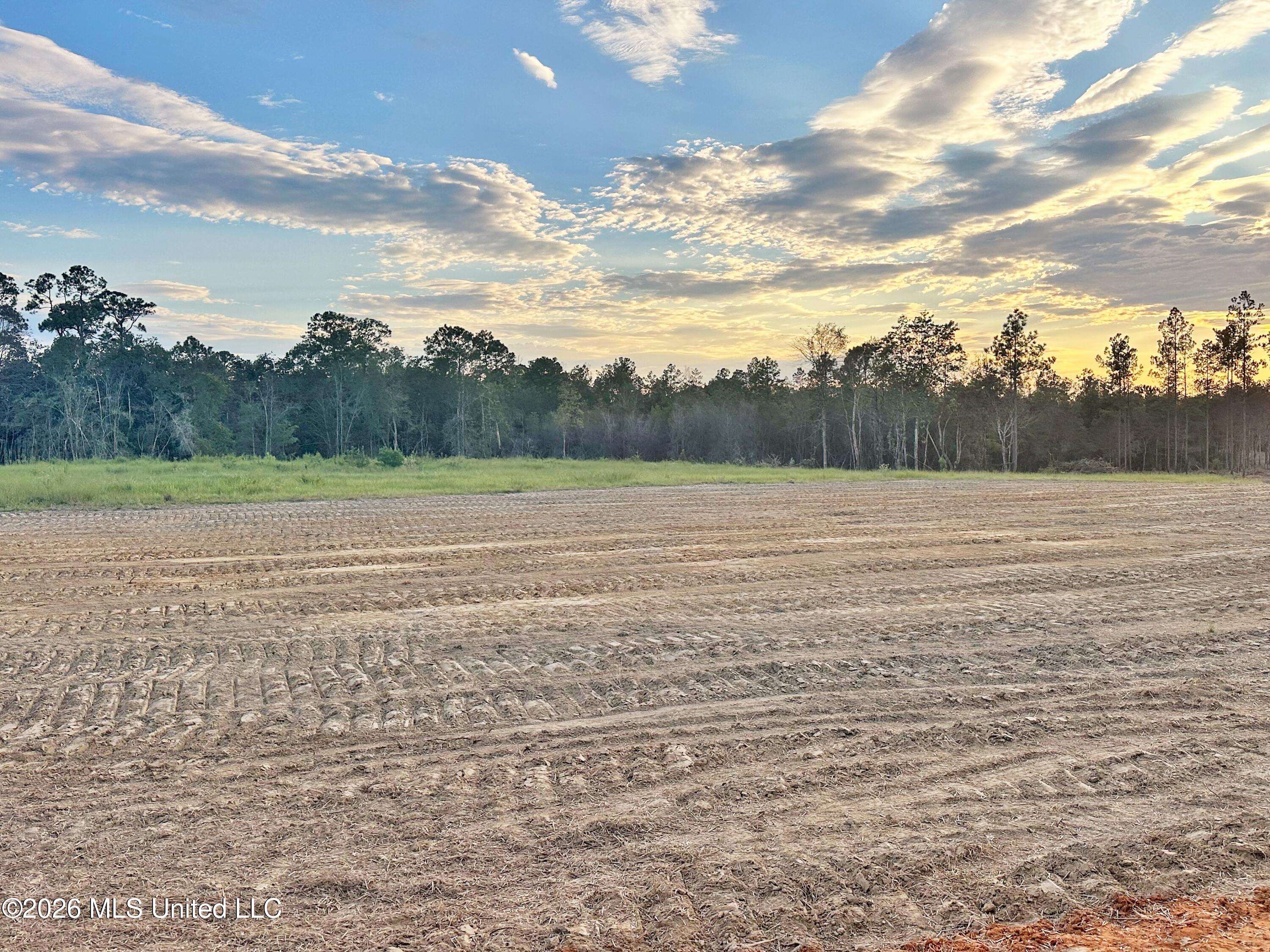 Lot 12 Little Cedar Road Lucedale, MS 39452 - Photo 1 of 7 1