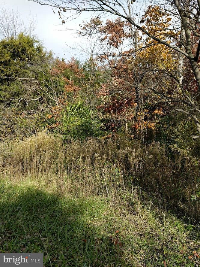 1-2 Vaucluse Road Stephens City, VA 22655 - Photo 1 of 5 Lot View