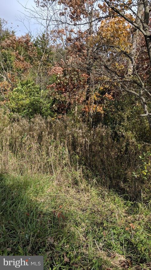 1-2 Vaucluse Road Stephens City, VA 22655 - Photo 2 of 5 Lot View