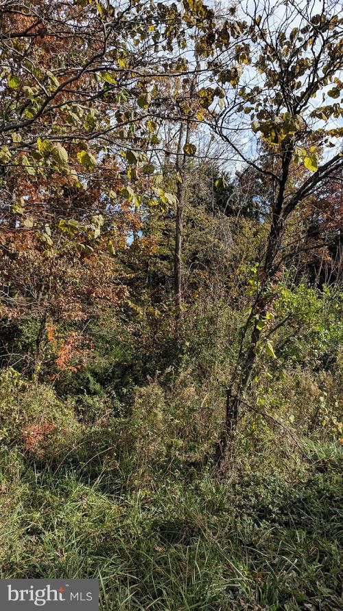 1-2 Vaucluse Road Stephens City, VA 22655 - Photo 3 of 5 Lot View