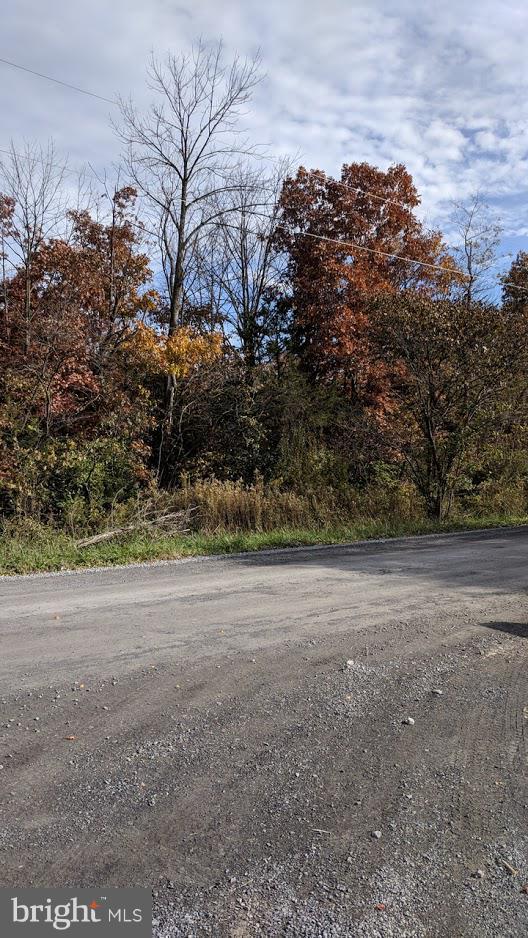 1-2 Vaucluse Road Stephens City, VA 22655 - Photo 4 of 5 View of Road Into Lot