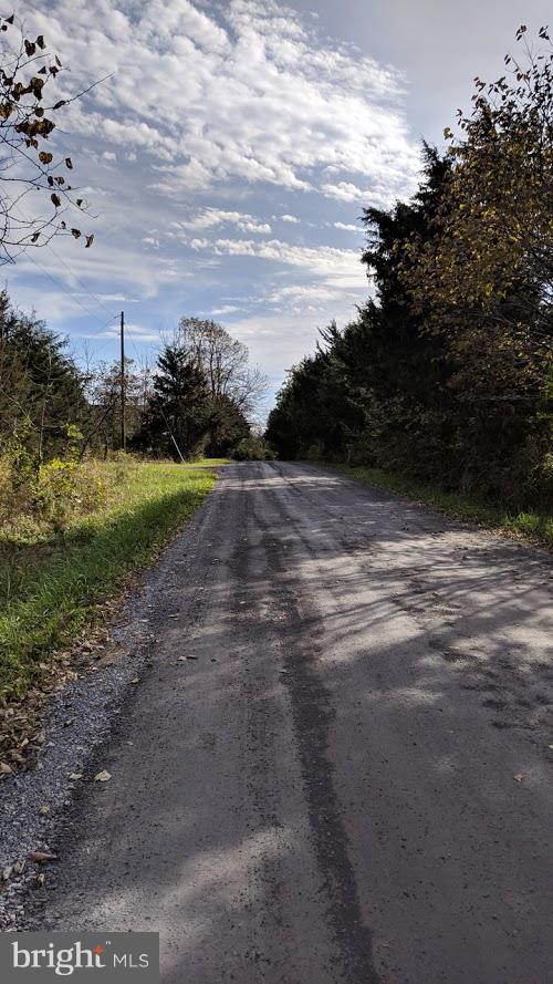 1-2 Vaucluse Road Stephens City, VA 22655 - Photo 5 of 5 View of Road Into Lot