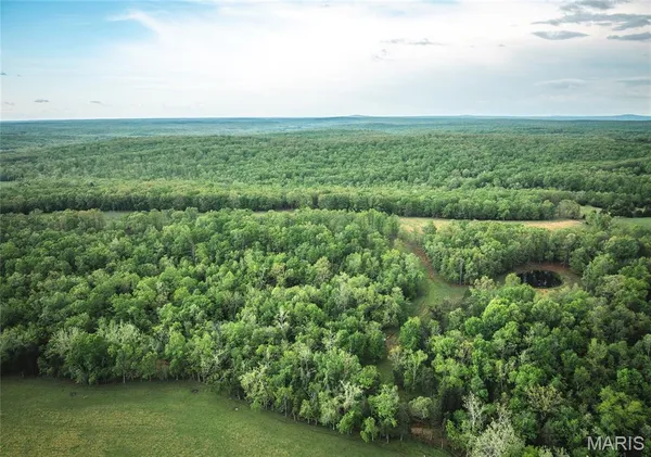 $949,000 | 13907 Hwy T, Fredericktown, MO 63645