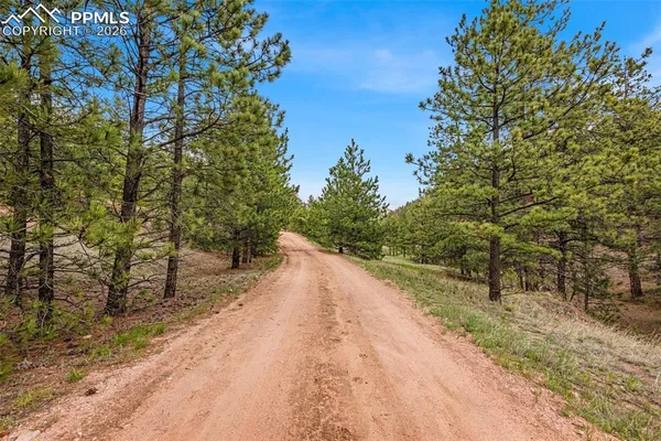 a view of a road with an trees