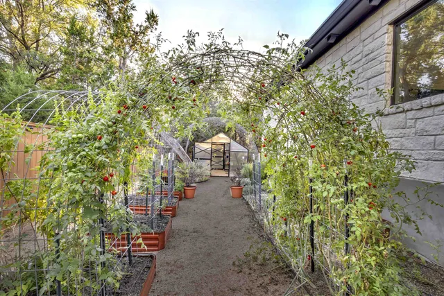 $535,000 | 110 C. Chisholm, Blanco, TX 78606