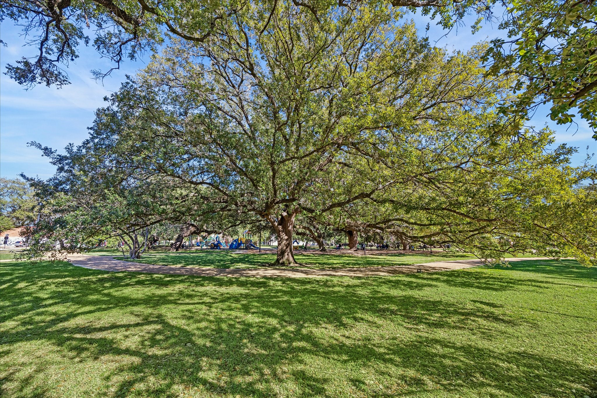 1620 Elgin Street, Unit 9 Houston, TX 77004 - Photo 26 of 28 a view of outdoor space with trees all around