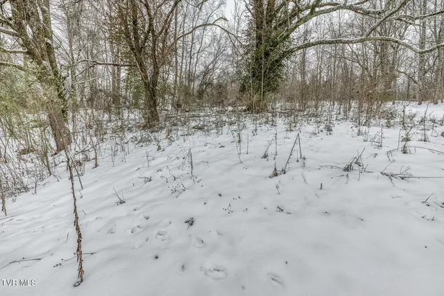 $250,000 | 1036 Gap Creek Road, Elizabethton, TN 37643