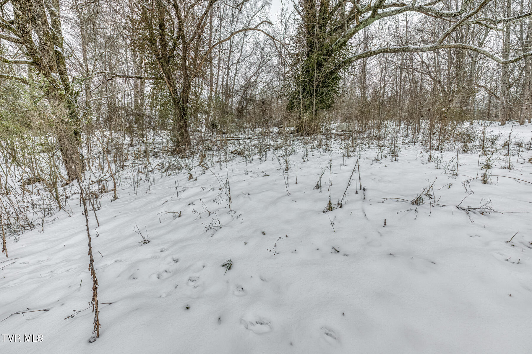 1036 Gap Creek Road Elizabethton, TN 37643 - Photo 24 of 29 1036 Gap Creek Rd-24